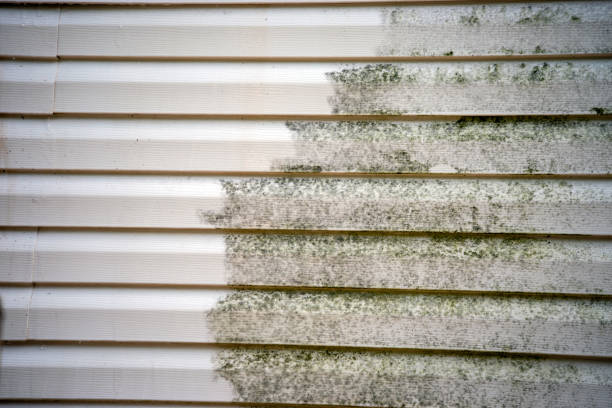 Best Fiber Cement Siding Installation  in Simi Valley, CA